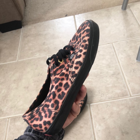 Cheetah vans - Picture 2 of 2